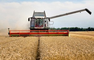 Combining harvesting in Cambridgeshire      